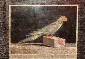 Alexandersittich im Papageienmosaik